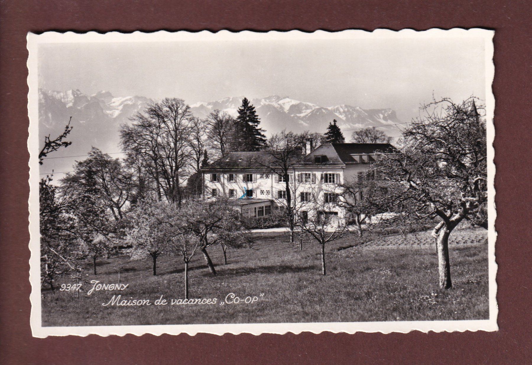 Cartoline postali: JONGNY - Maison de vacances CO-OP – Usato da Pully venduto da nicecards