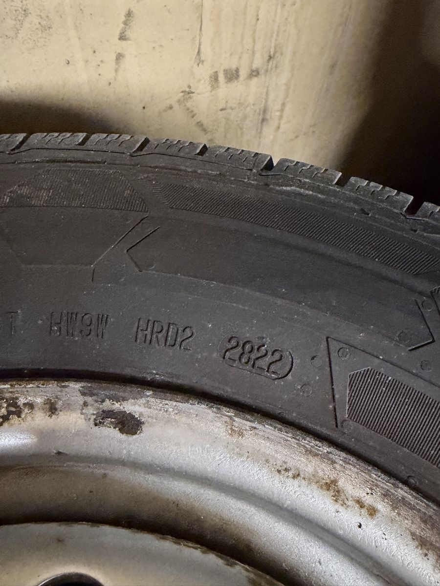 Pneumatici & Ruote complete: VW T4 Winterräder – Usato da Täuffelen venduto da ASLAG 3