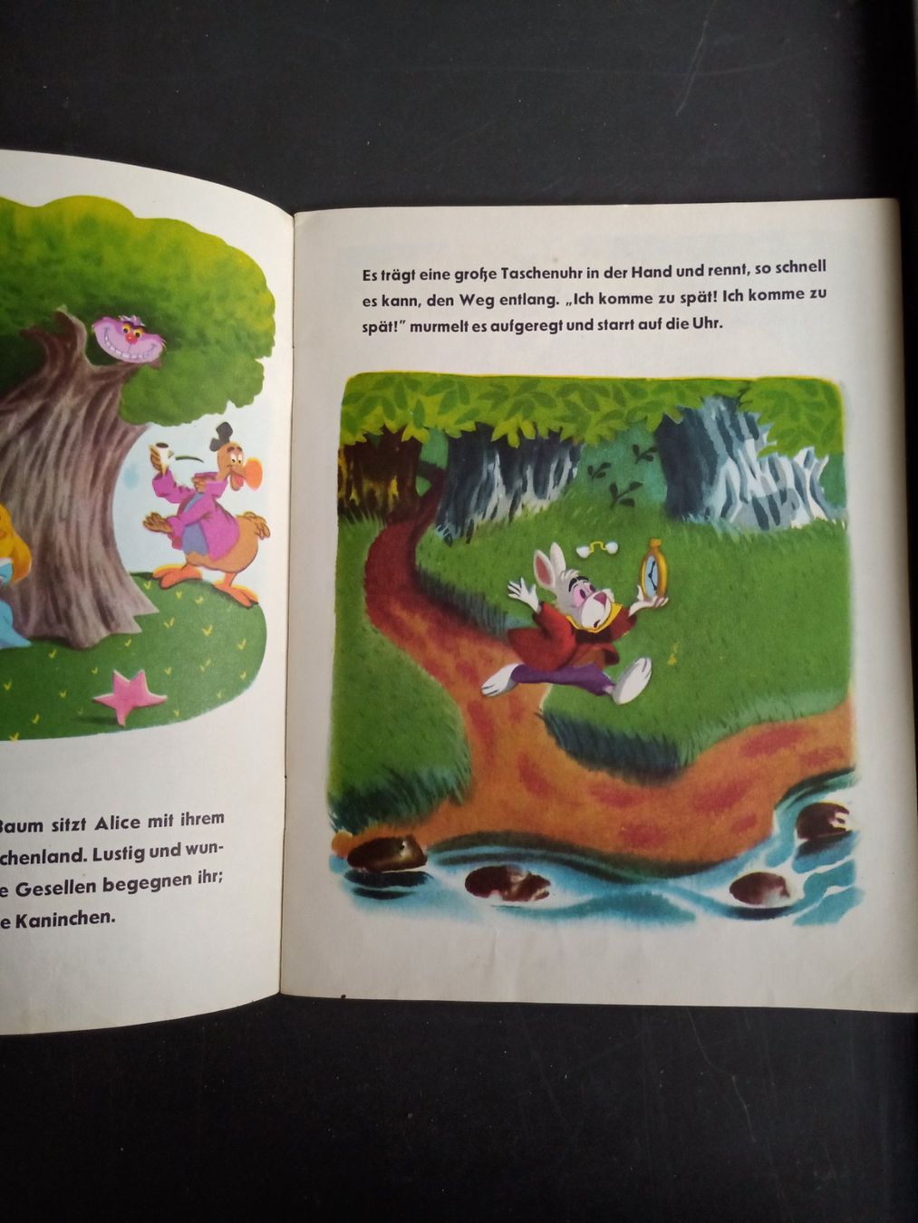 Fumetti: Walt Disney - Alice - Comic – Usato da Oberegg venduto da A-Z.Handel.Loehrer 1