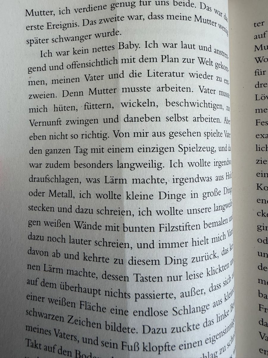 Libri: Simone Meier - Die Entflammten – Usato da Zürich venduto da chi_9dfb 2