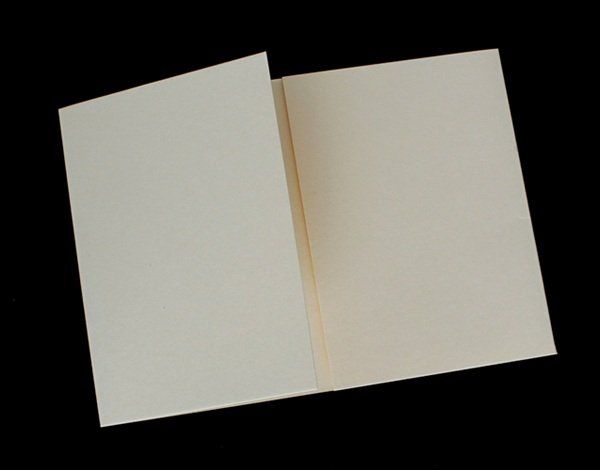 Kit bricolage: Doppelkarte B6 champagner mit Couvert – Nuovo (secondo la descrizione) da Schlatt TG venduto da glueckwunschkarte.22