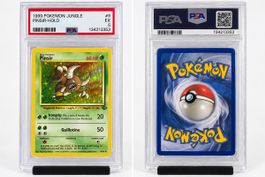 Pokémon Pinsir Holo #9 – Jungle 1999 – PSA 5 
