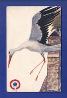 OISEAU - Cigogne // déchirure //