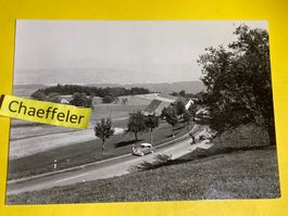 1962 Blick vom Albis auf den Zürichsee