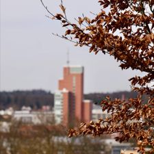 Profile image of daszauseli
