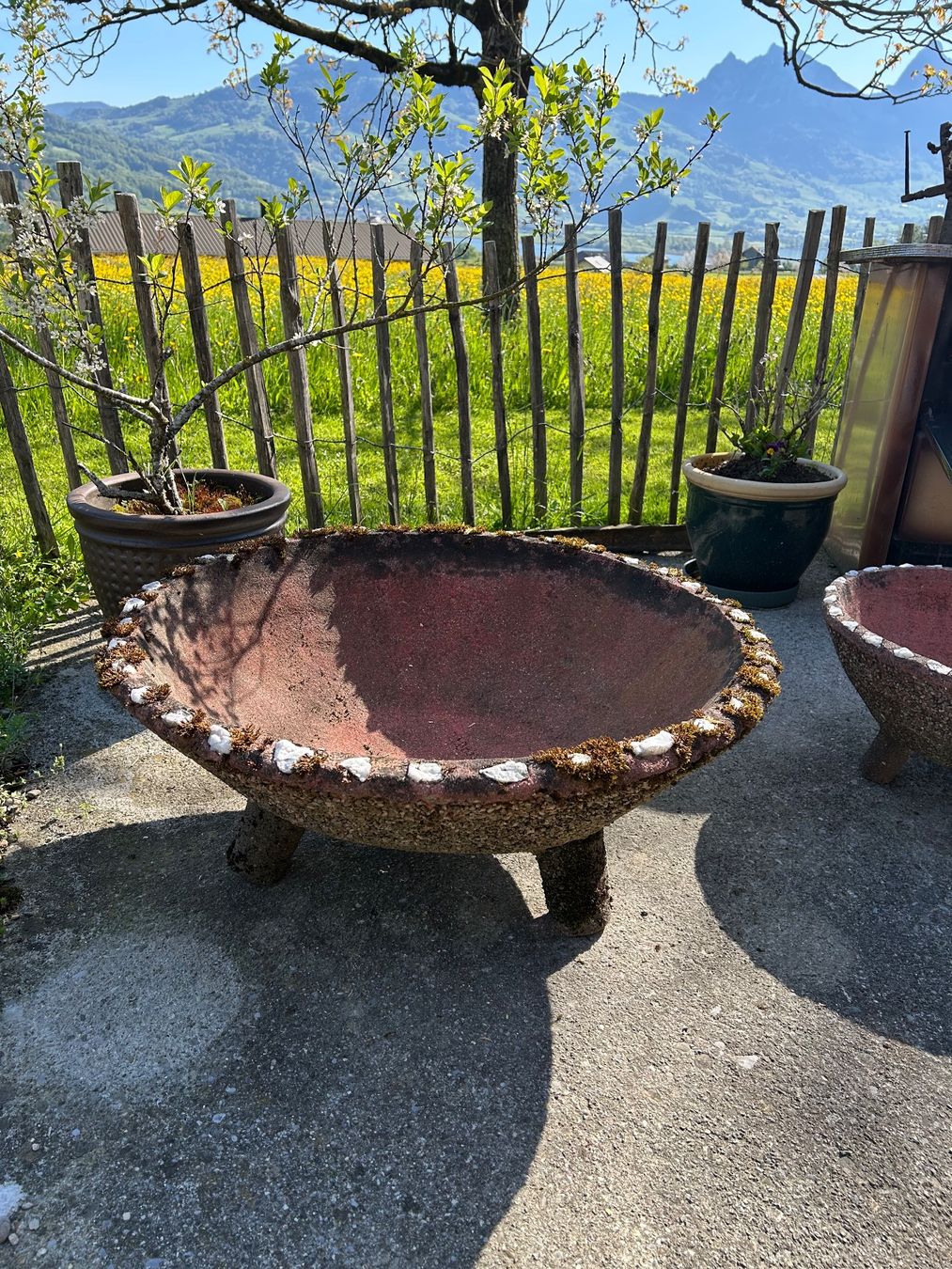 Vasi per fiori: Pflanzenschale / -topf Waschbeton – Usato da Goldau venduto da Taburettli_Brocante