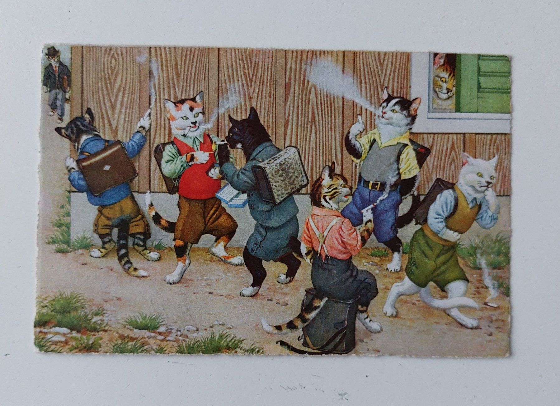 Cartoline postali: AK Ansichtskarte Katzen Schule Künzli – Usato da Schenkon venduto da Uhu007
