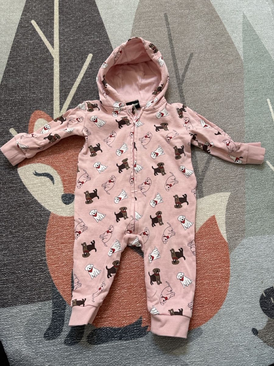 Lotti & Set di vestiti: Baby Strampler – Usato da Egolzwil venduto da ArianeP95