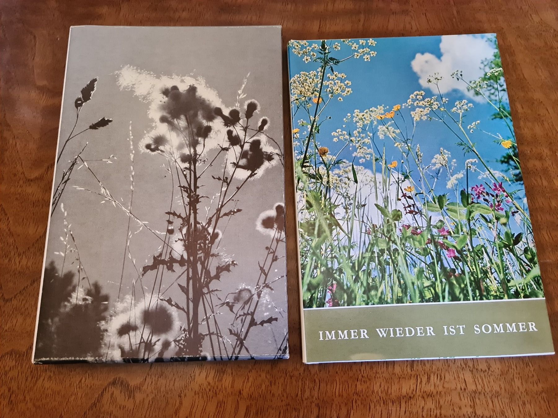 Libri: Immer wieder ist Sommer – Usato da Erstfeld venduto da Uhu1980