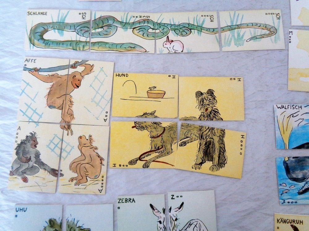 Giochi: Sasha Morgenthaler - Tier-Quartett / 96 Karten – Usato da Neerach venduto da SilliS 5
