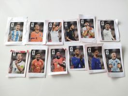 Coca Cola stickers WM 2026- alle 12 