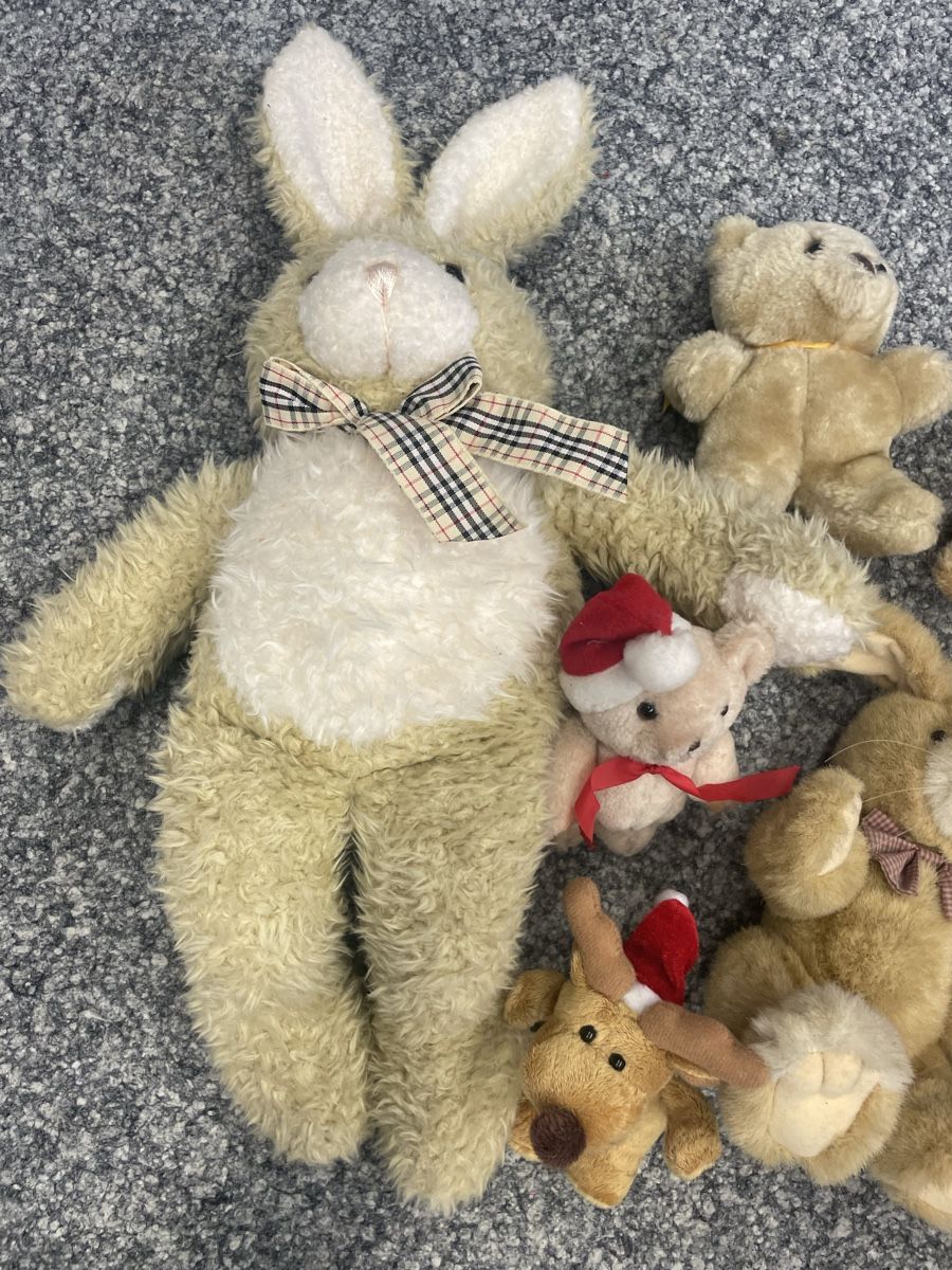 Giocattoli: Plüschtiere, Bär, Hase, Raupe & Reh - – Usato da Au ZH venduto da Jaggy4 5