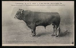 AK Saint-Philibert, Quenotte H.B.C. 1925