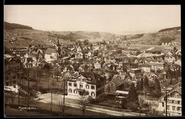 AK Herisau, Panorama der Ortschaft mit Kirche und Häusern