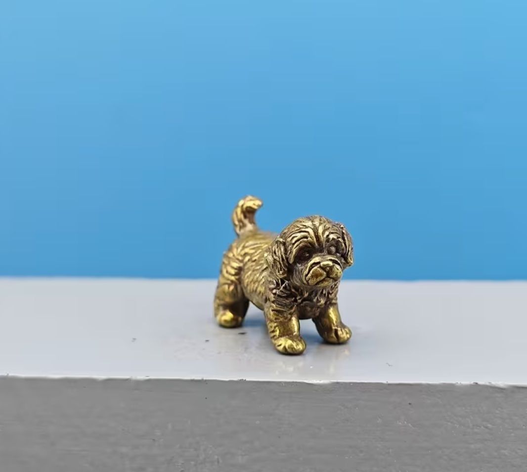 Statuette: Shih Tzu Miniaturfigur aus massivem Messing – Nuovo (secondo la descrizione) da Langenthal venduto da Seelenfreunde 4