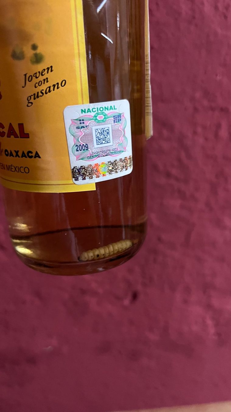 Spirituosen: Gusano Rojo Mezcal mit Wurm 70cl – Neu und originalverpackt aus Oberrieden von phmsales 1