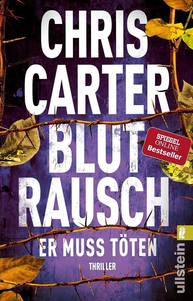Livres: Spannende Thriller – D'occasion à bern par jeannie2006 4