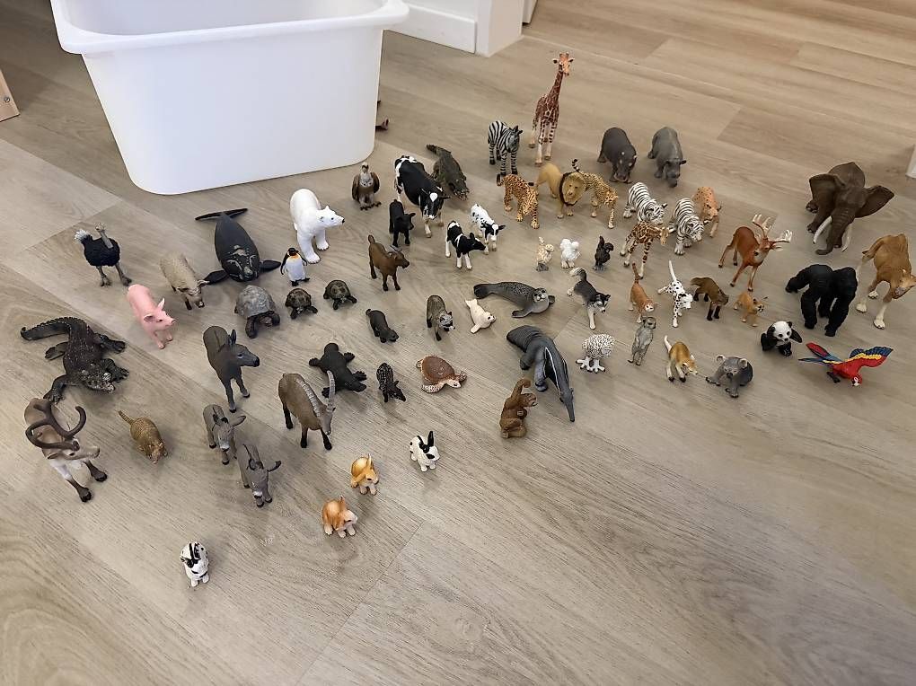 Spielzeuge: Schleich Figuren 63stk  – Gebraucht aus Niederhasli von des_f82m