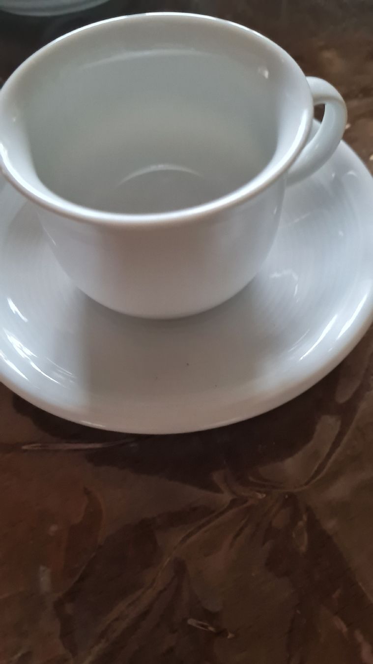 Thomas Set di piatti: Thomas Rosenthal Kaffeeservice lezte Chance – Nuovo (secondo la descrizione) da Münsingen venduto da Cuci31 3