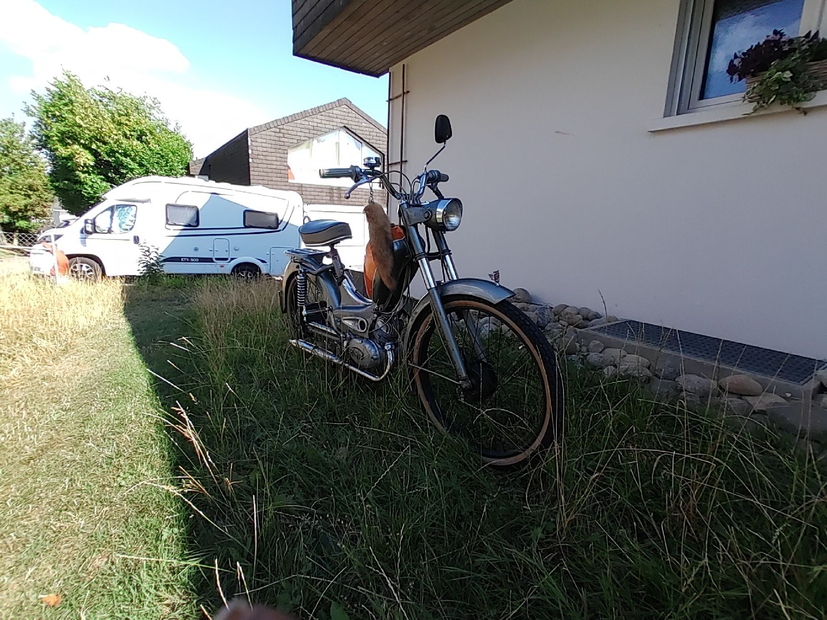 Sachs Cyclomoteurs: Sachs Rixe RS 50 MFLM – Défectueux à Eschenbach SG par familie.klaus 8
