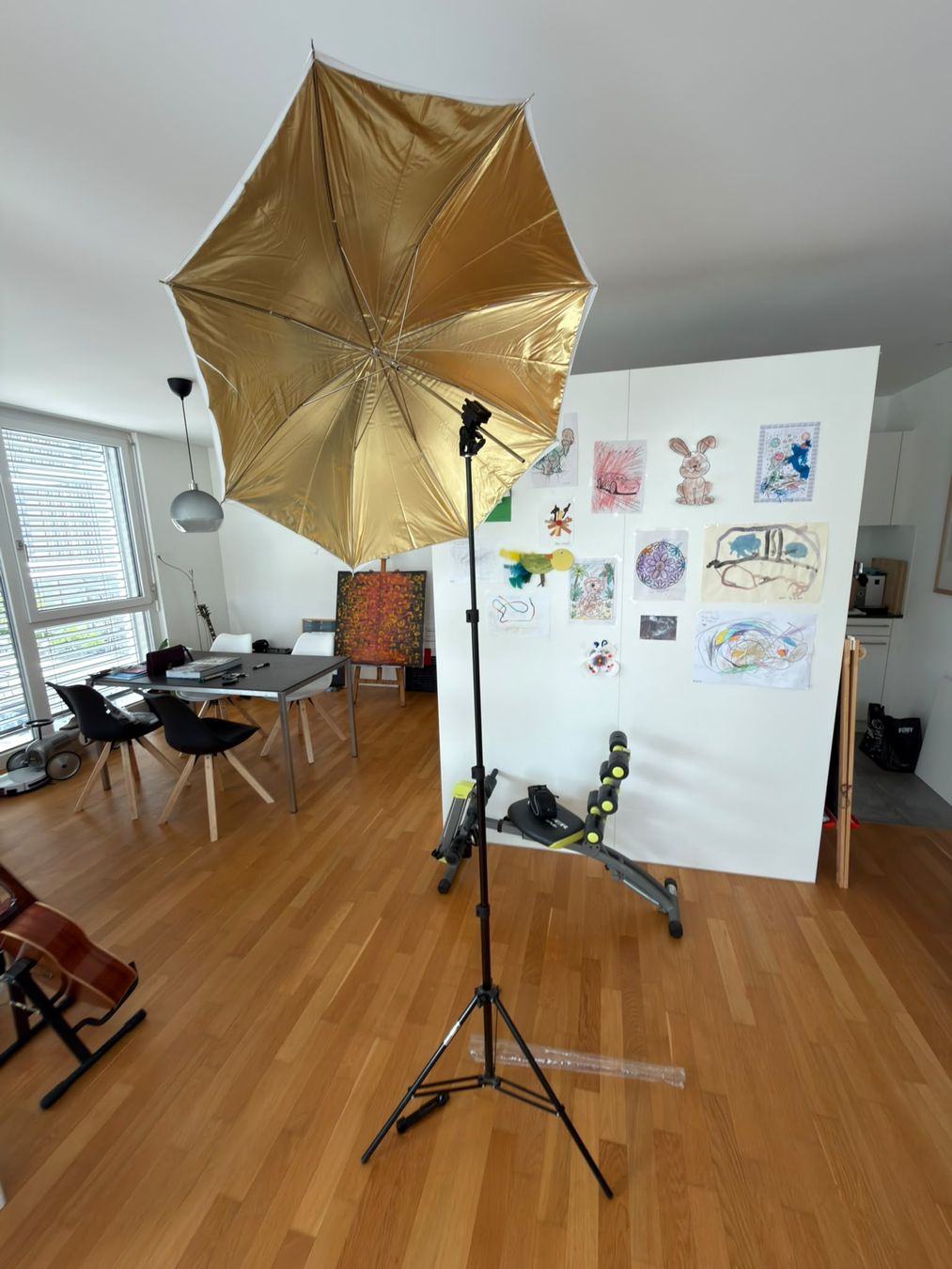 Laboratorio & Camera oscura: Studio-Lichtstativ mit grossem Reflex-/Fotoregel  – Difettoso da Reinach AG venduto da Rousseau_J