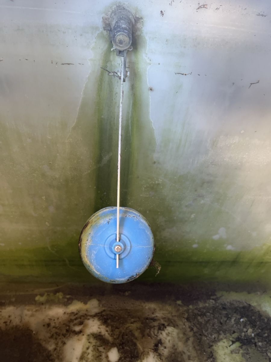 Abbeveratoi e trogoli: Wassertank – Usato da Steinach venduto da Steff_11 2