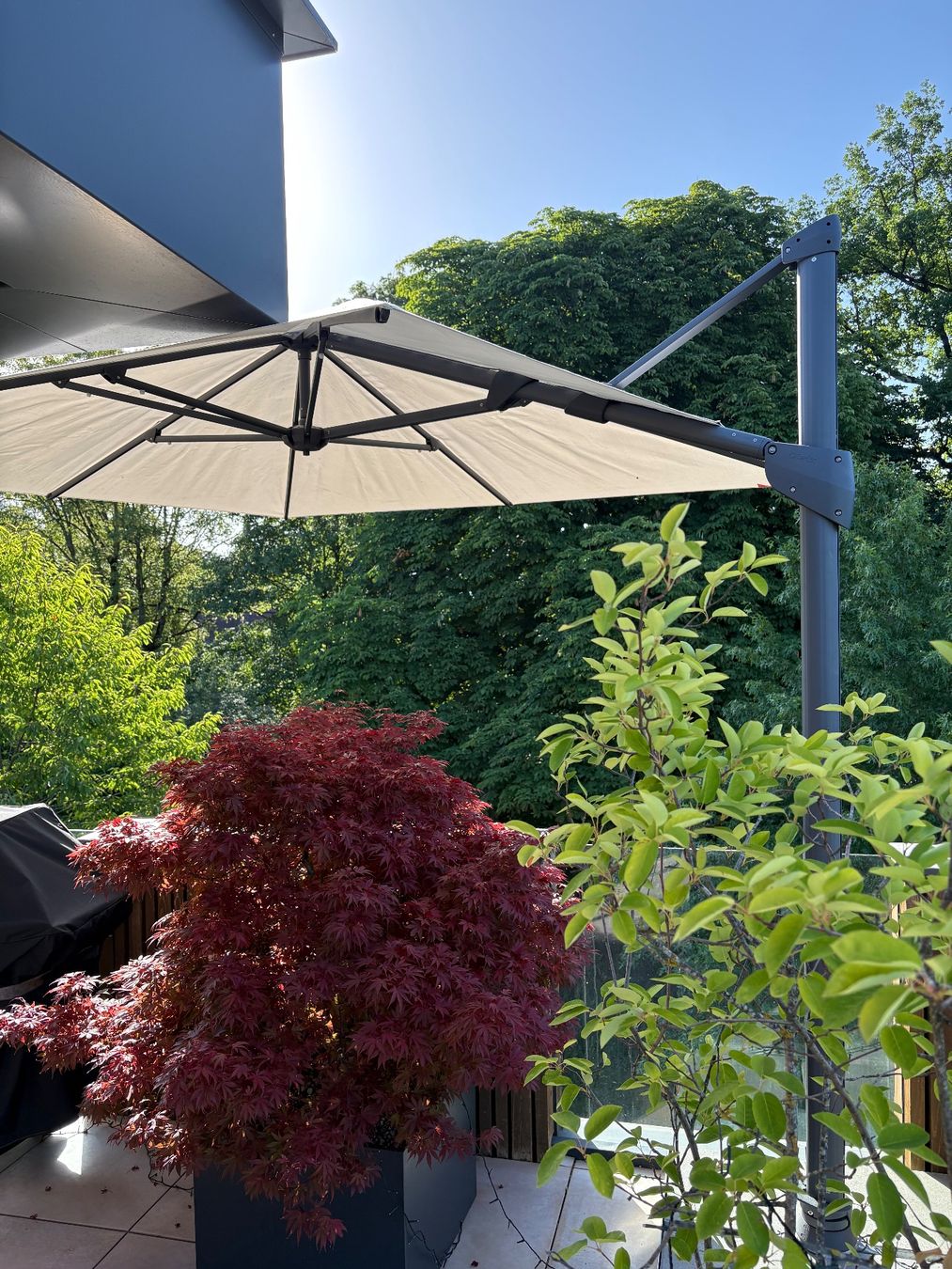 Glatz Sonnenschirme: Glatz Fortano Sonnenschirm – Gebraucht aus Allmendingen b. BE von hae_lp5k 5