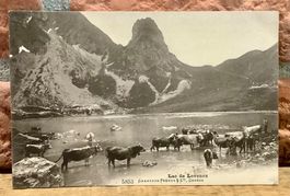 LAC de LOVENEX - Bergsee & Kühen