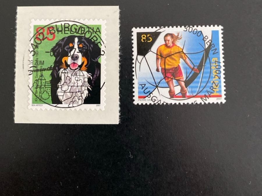 Tutti i francobolli: Sondermarken 2007 Ersttag Vollstempel – Usato da Oberdorf NW venduto da bouquineur