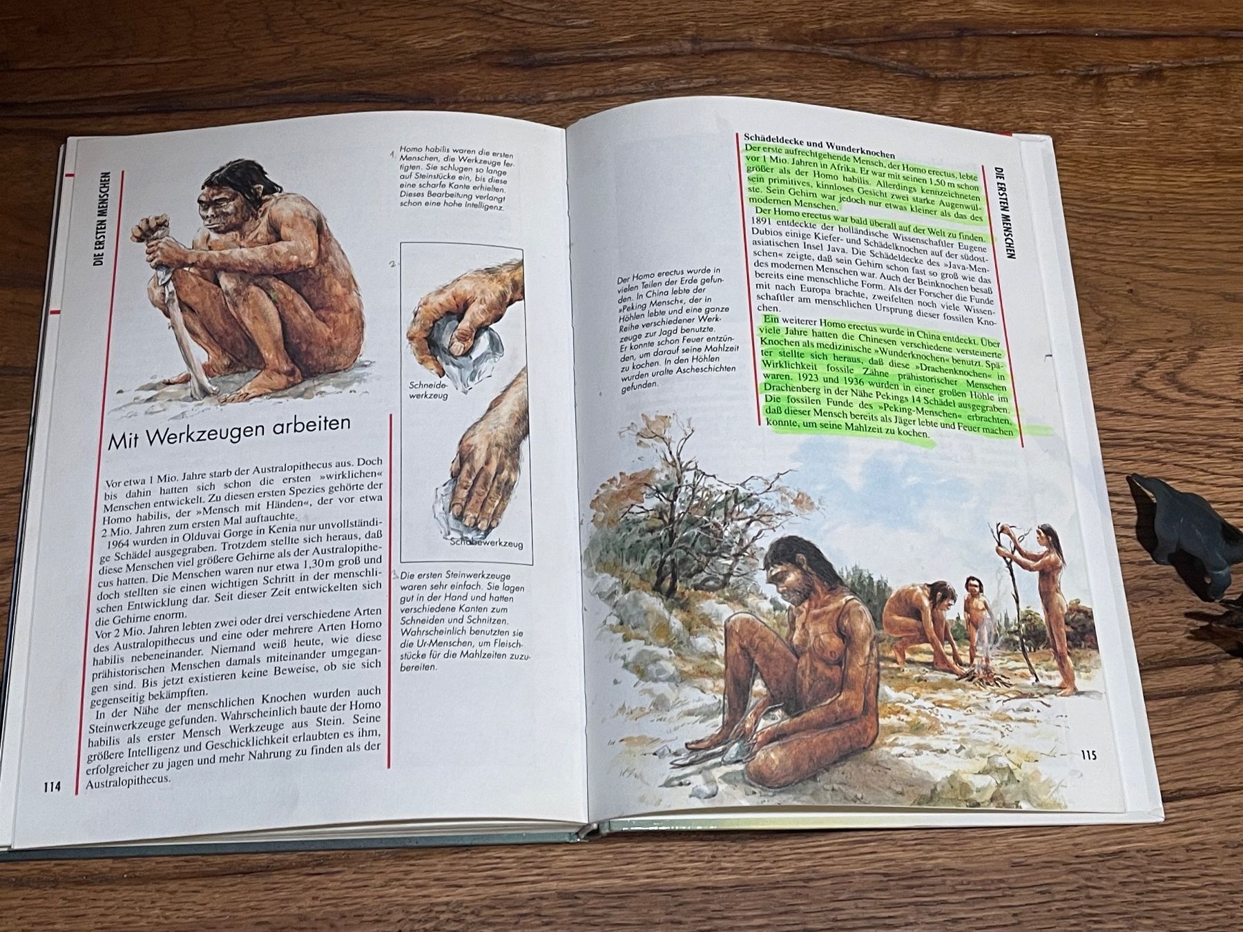 Bücher: Dinosaurier-Set mit Buch "Die Urzeit" für Kinder mit 2 Dinos – Gebraucht aus Zuerich von Dorsi 5