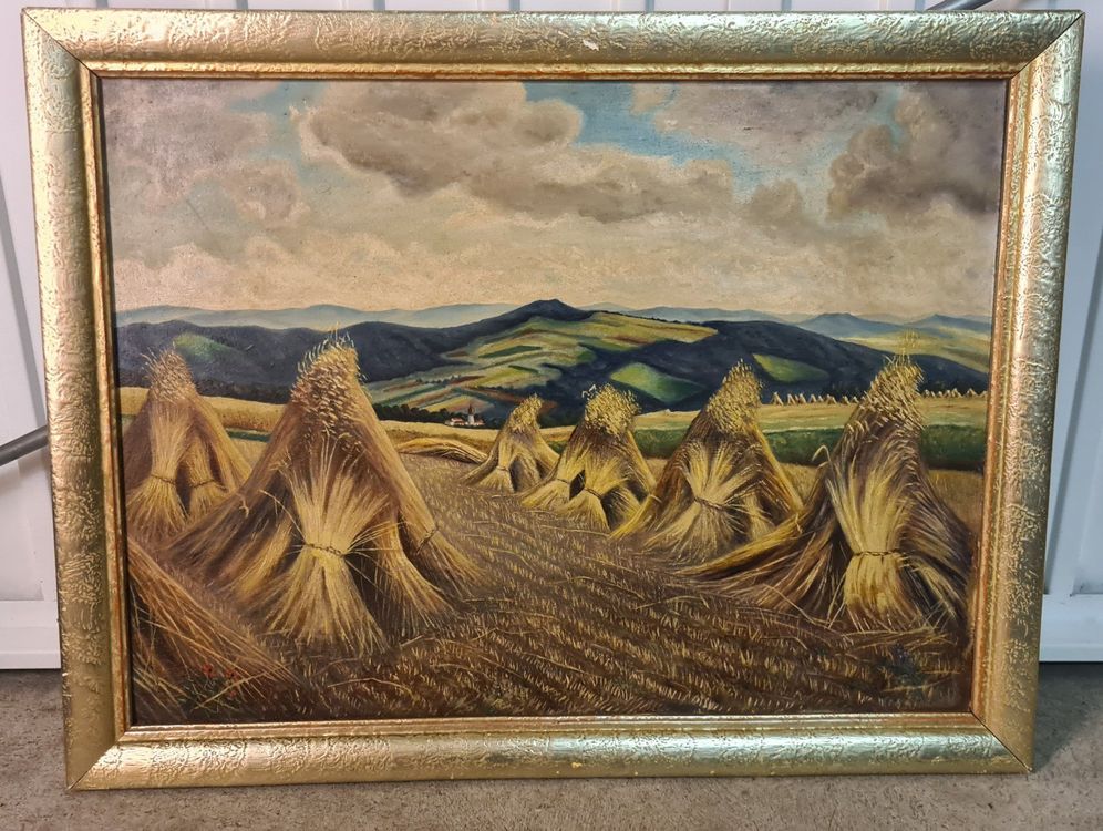 Kornfeld Kaufen auf Ricardo