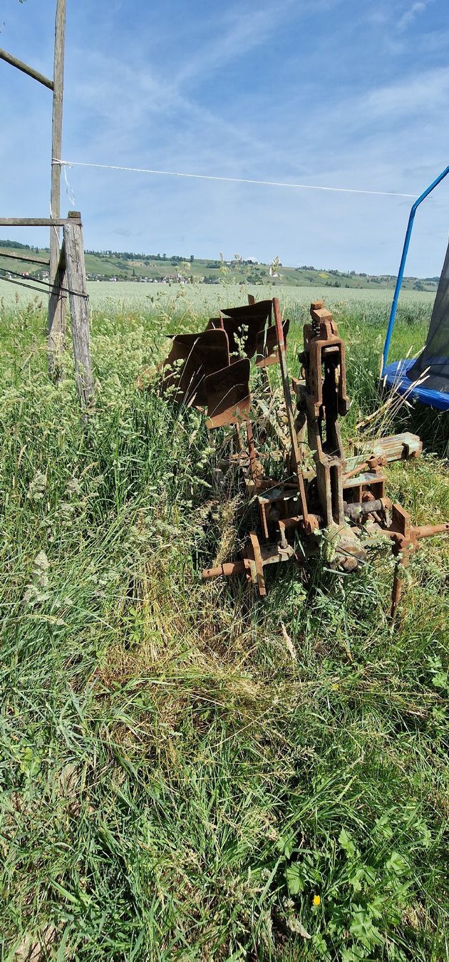 Aratri: Harry Menzi2 schar Pflug – Usato da Hallau venduto da FNeukomm 2