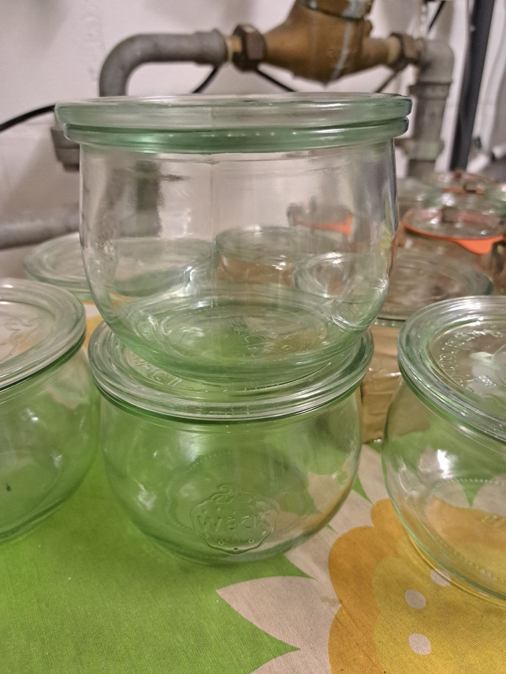 Weck Behälter & Ähnliches: Weck Gläser Konfitüre Einkochen 16Stk. mit Deckel – Gebraucht aus Zufikon von Dysundas 1