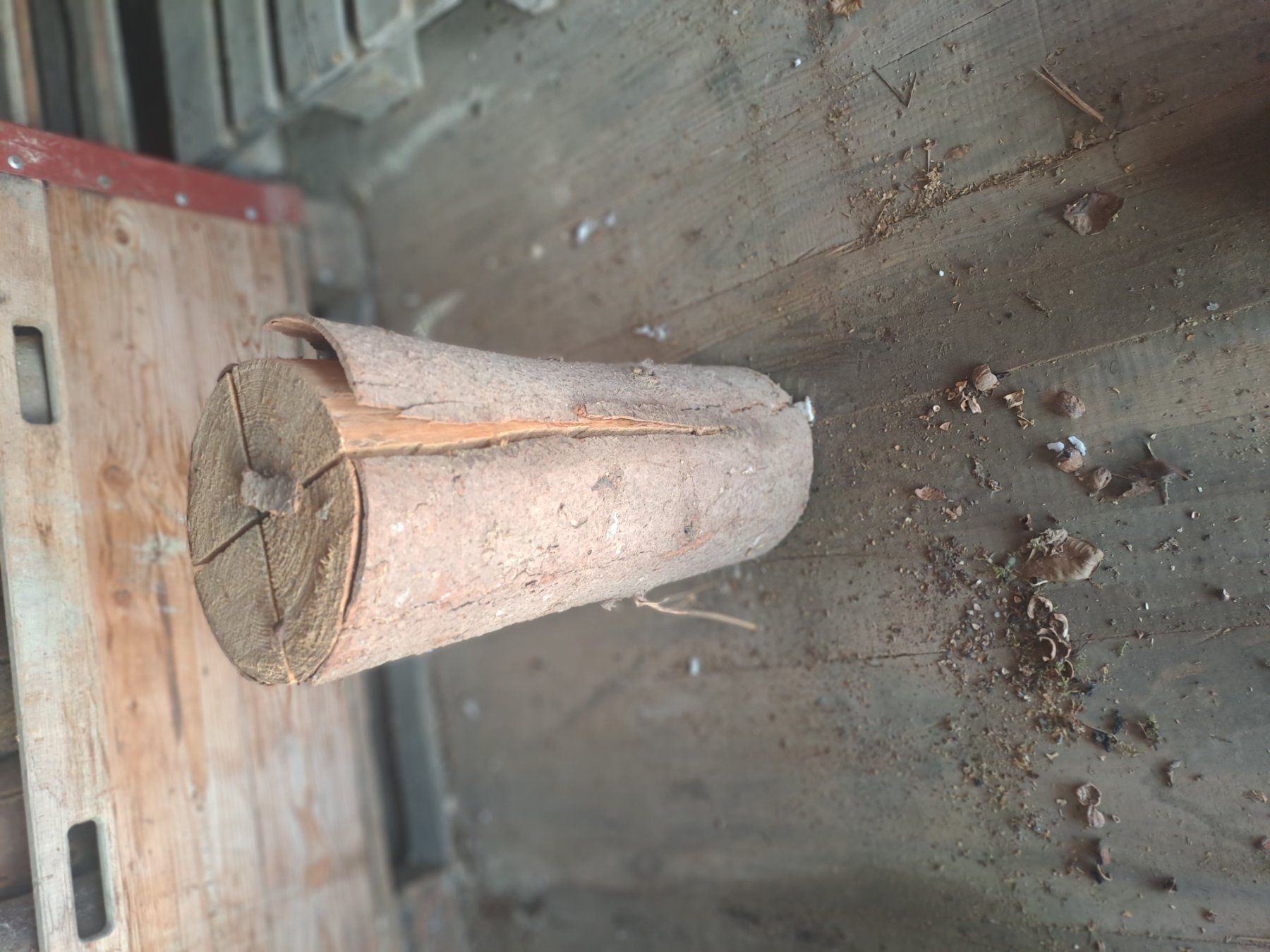 Articoli in legno: Finnenkerzen – Usato da Roggwil TG venduto da kellerthomaserbel