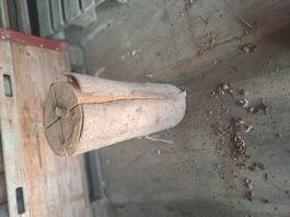 Finnenkerzen