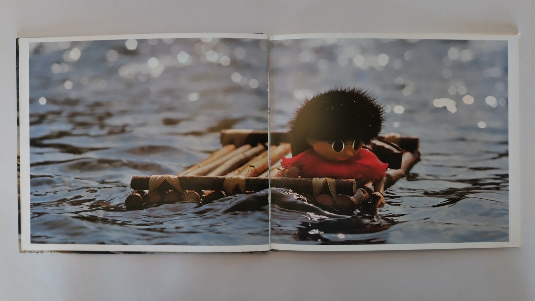 Libri: Baski - Grosse Flussfahrt ab Fr. 10.- / Bilderbuch 1976 – Usato da Bellach venduto da JingleJerry 3