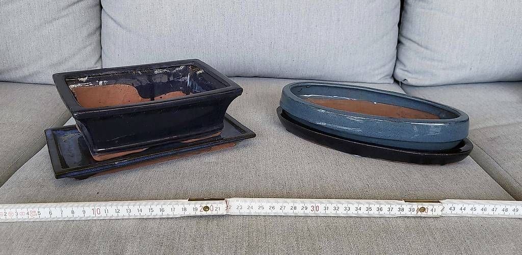 Piante & sementi: 12 Bonsai-Töpfe – Usato da Lugano venduto da Mavvatteloapesca 3