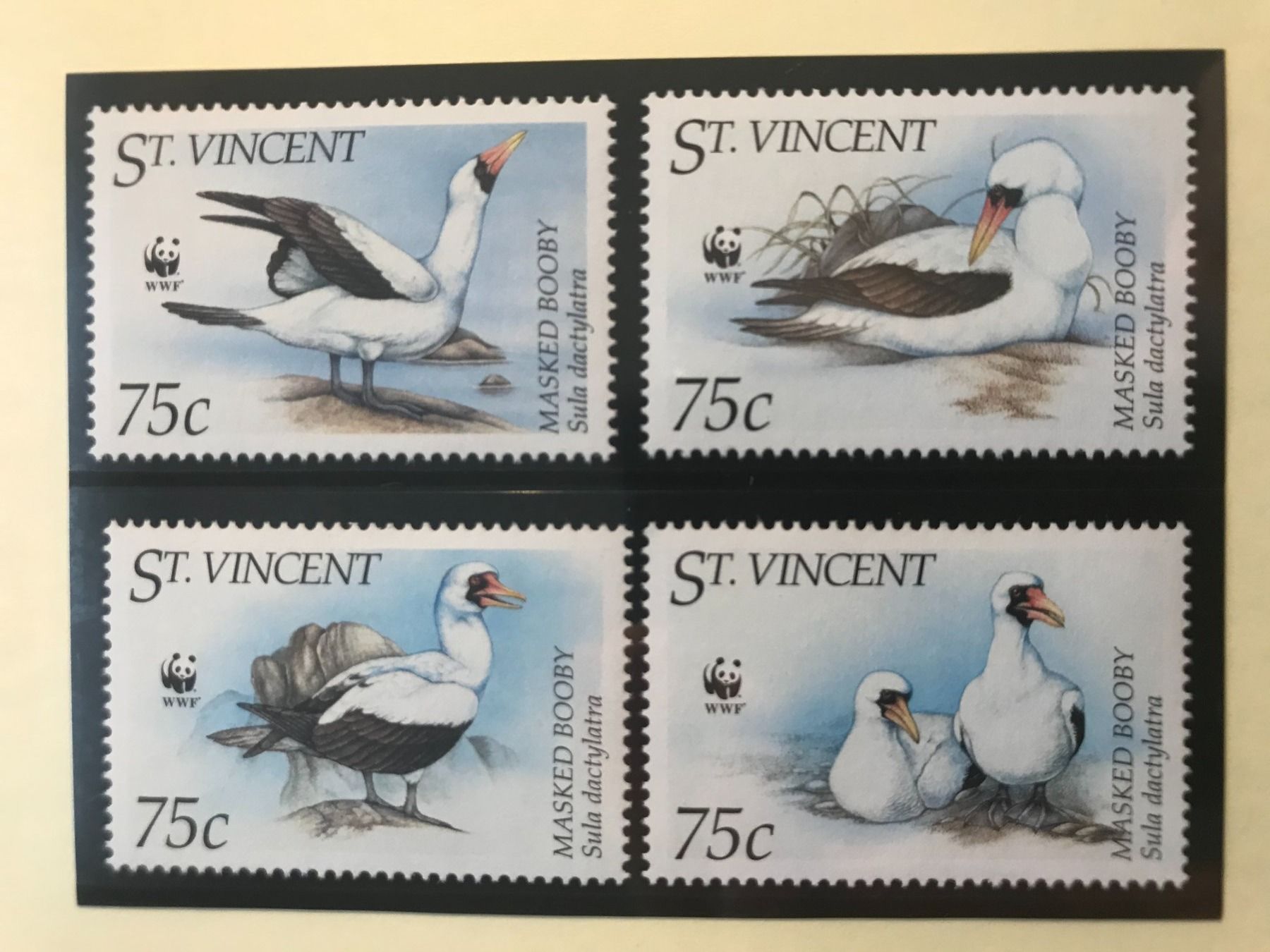 Tutti i francobolli: WWF St.Vincent 1995 Satz Maskentölpel postfrisch – Nuovo (secondo la descrizione) da Liestal venduto da schnueps