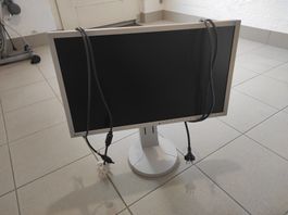 Eizo Monitor 23" Modell EV2316W