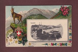 LUZERN und Edelweiss - 1913 Präge // Falte //