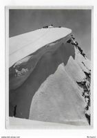 Ansicht Piz Corvatsch um 1945