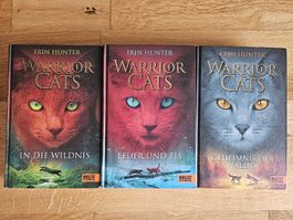 Warrior Cats 1-3