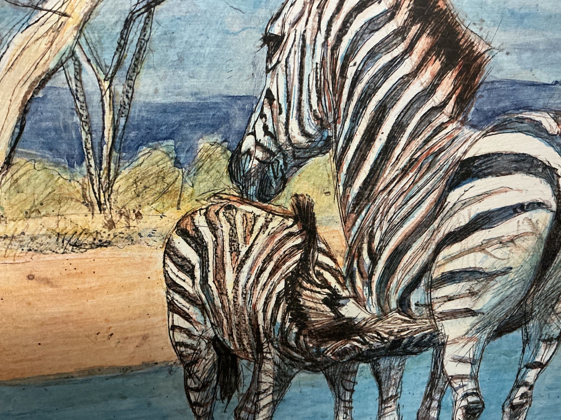 Grafica & Litografie: Zebras von Hug Litho – Usato da Bern venduto da vielerart 2