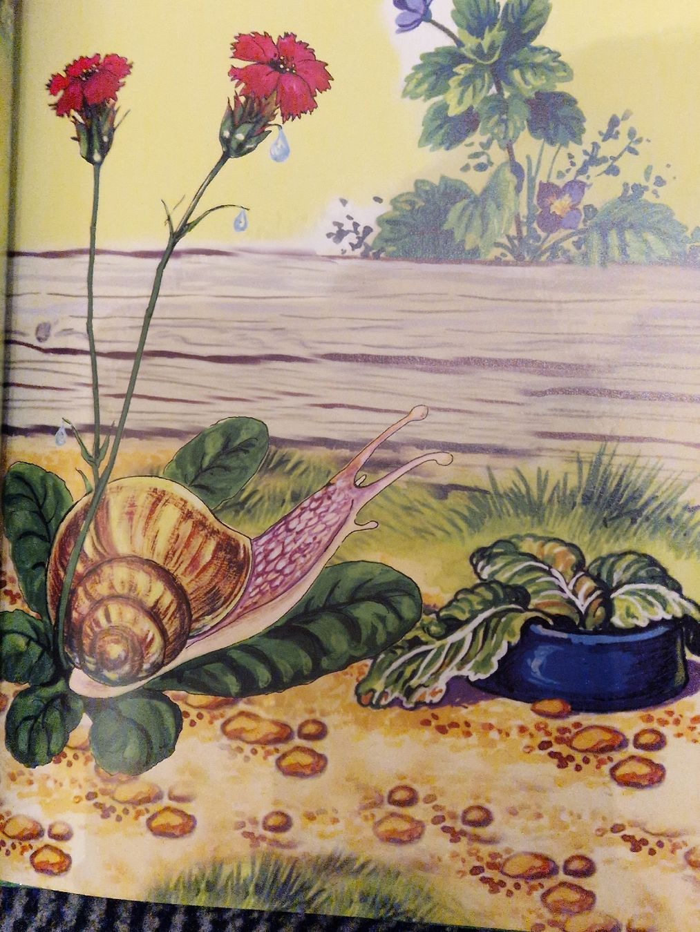 Bücher: wunderschöne Kinderbücher, ab 3Fr. pro Buch – Gebraucht aus Henau von ale_bc8n 4