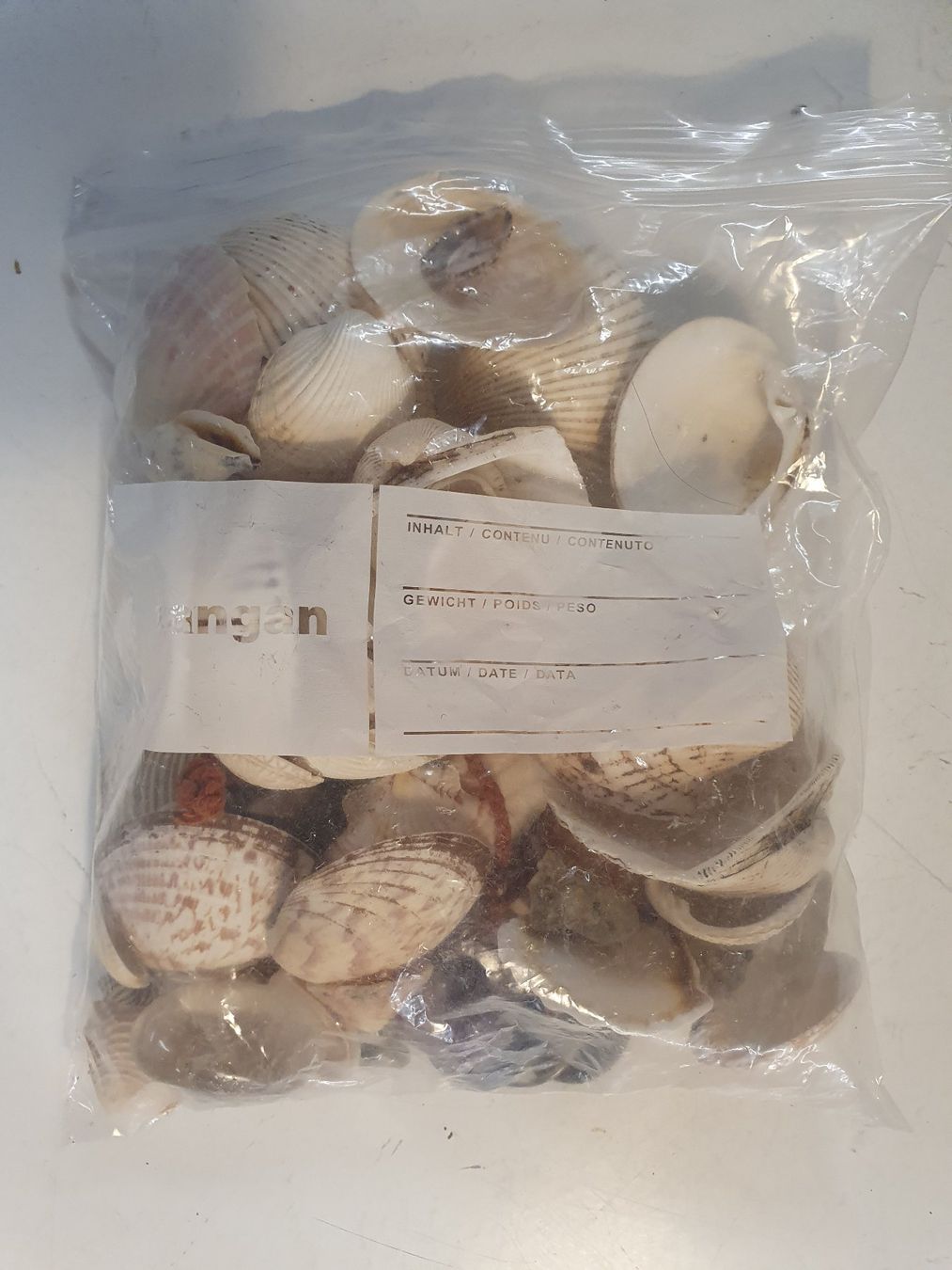 Tutte le decorazioni: ein Sack Muscheln – Usato da Zürich venduto da loosebone 1