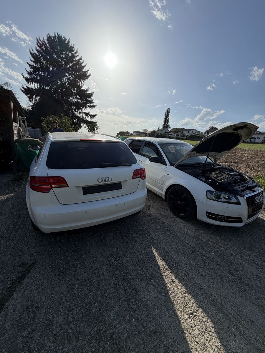 Audi Tutti pezzi di ricambio auto: Audi a3 8p – Difettoso da Morens FR venduto da Abiulense3100 4