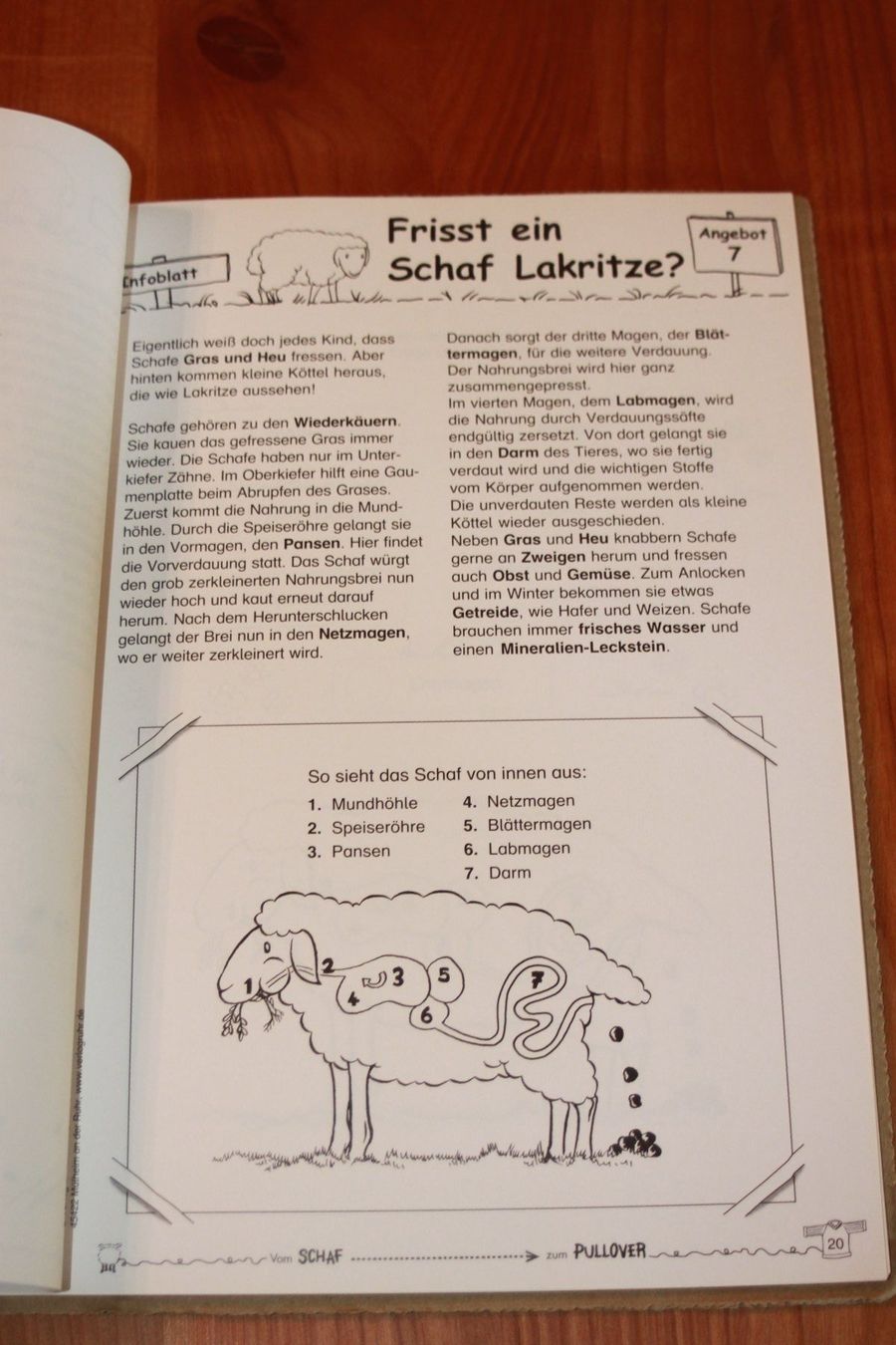 Livres: Werkstattmappe "vom Schaf zum Pullover" – Neuf (Voir description) à Wenslingen par Strick4Alpaca 3