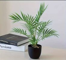 Kunstpalme, künstliche Palme Pflanze,  Kunstpflanze, Deko