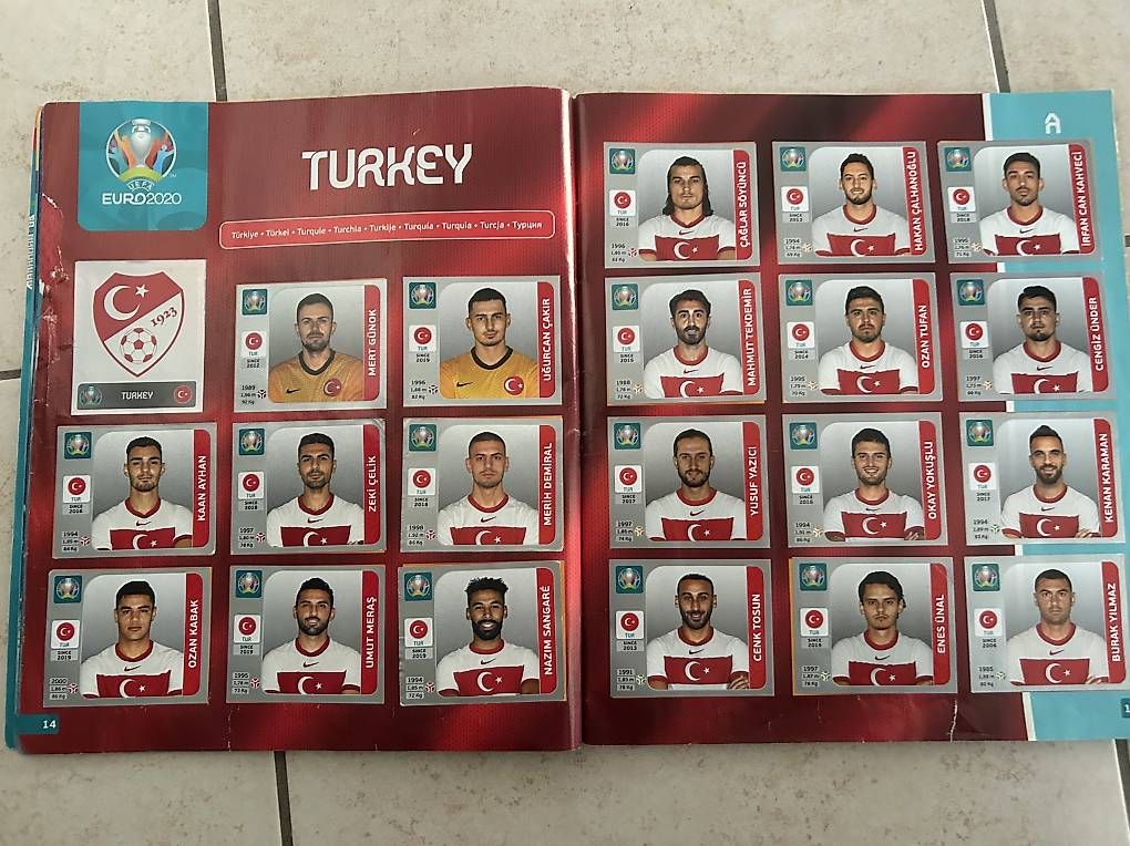 Panini Album: Panini Euro 2020 komplett – Usato da Binningen venduto da Flagello 2