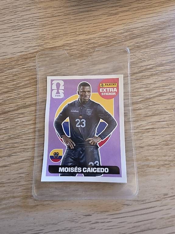 Carte collezionabili: Moises Caicedo FIFA26 Extra Sticker – Usato da Dallenwil venduto da Blastflame
